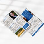 Flyer - 20 Février 2026